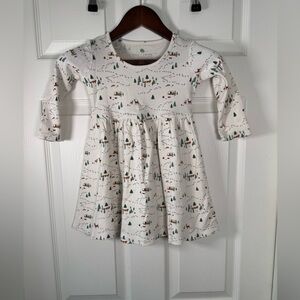 Finn & Emma Winter Theme Organic Cotton Twirl Dress Long Sleeve Size 4T Girls